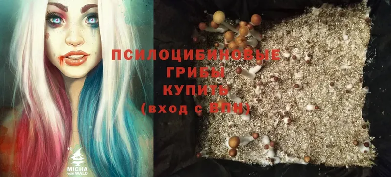 что такое   МЕГА сайт  Псилоцибиновые грибы Psilocybine cubensis  Камбарка 